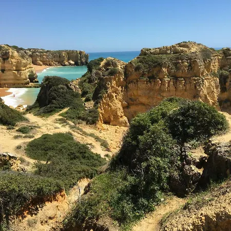 Διαμέρισμα Vitismar